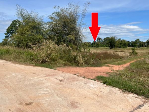 ขายที่ดิน 35 ไร่ อำเภอกบินทร์บุรี ปราจีนบุรี ติดถนนคอนกรีต เหมาะทำโรงงานหรือโกดัง ทำโคกหนองนา ติดถนนคอนกรีต